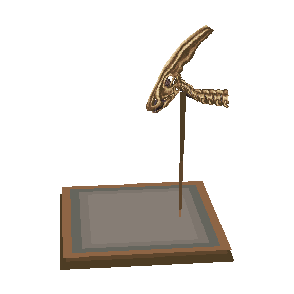 crâne de parasaurolophus (Parasaur Skull)