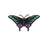 Papillon paon (Peacock Butterfly)