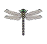 Cordulégastre (Petaltail Dragonfly)