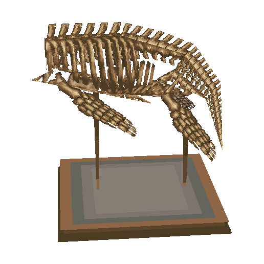 corps de plésiosaure (Plesio Torso)