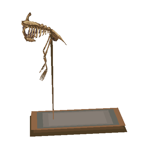 corps de ptéranodon (Ptera Body)