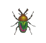 Copris irisé (Rainbow Stag)