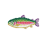 Truite (Rainbow Trout)