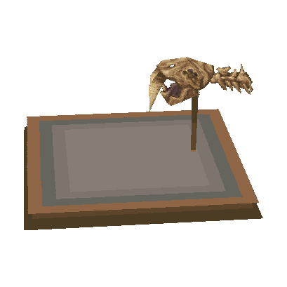 crâne de smilodon (Sabertooth Skull)