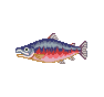 Saumon (Salmon)