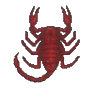 Scorpion (Scorpion)