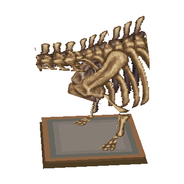 torse de diplodocus (Seismo Chest)