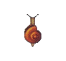 Escargot (Snail)
