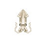 Calmar (Squid)