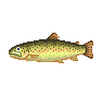 Dai yu (Stringfish)