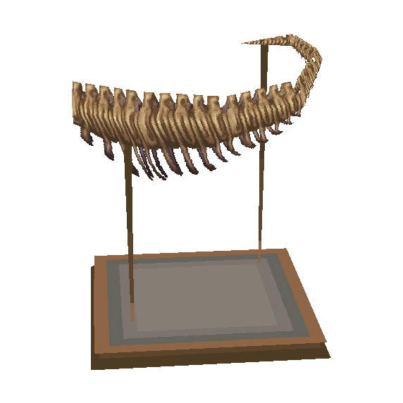 queue de tyrannosaure (T-rex Tail)