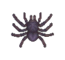 Tarentule (Tarantula)