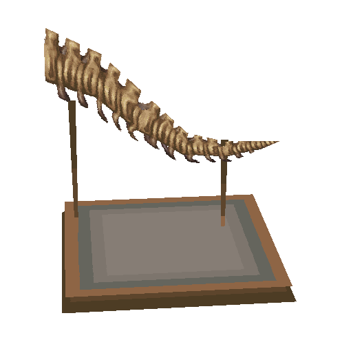 queue de tricératops (Tricera Tail)