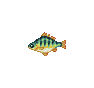 Perche jaune (Yellow Perch)